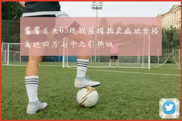 霉霉东决G3观战座椅拍卖成功价格高达四万七千元引热议