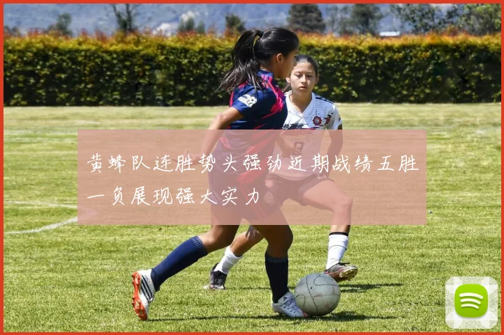 黄蜂队连胜势头强劲近期战绩五胜一负展现强大实力